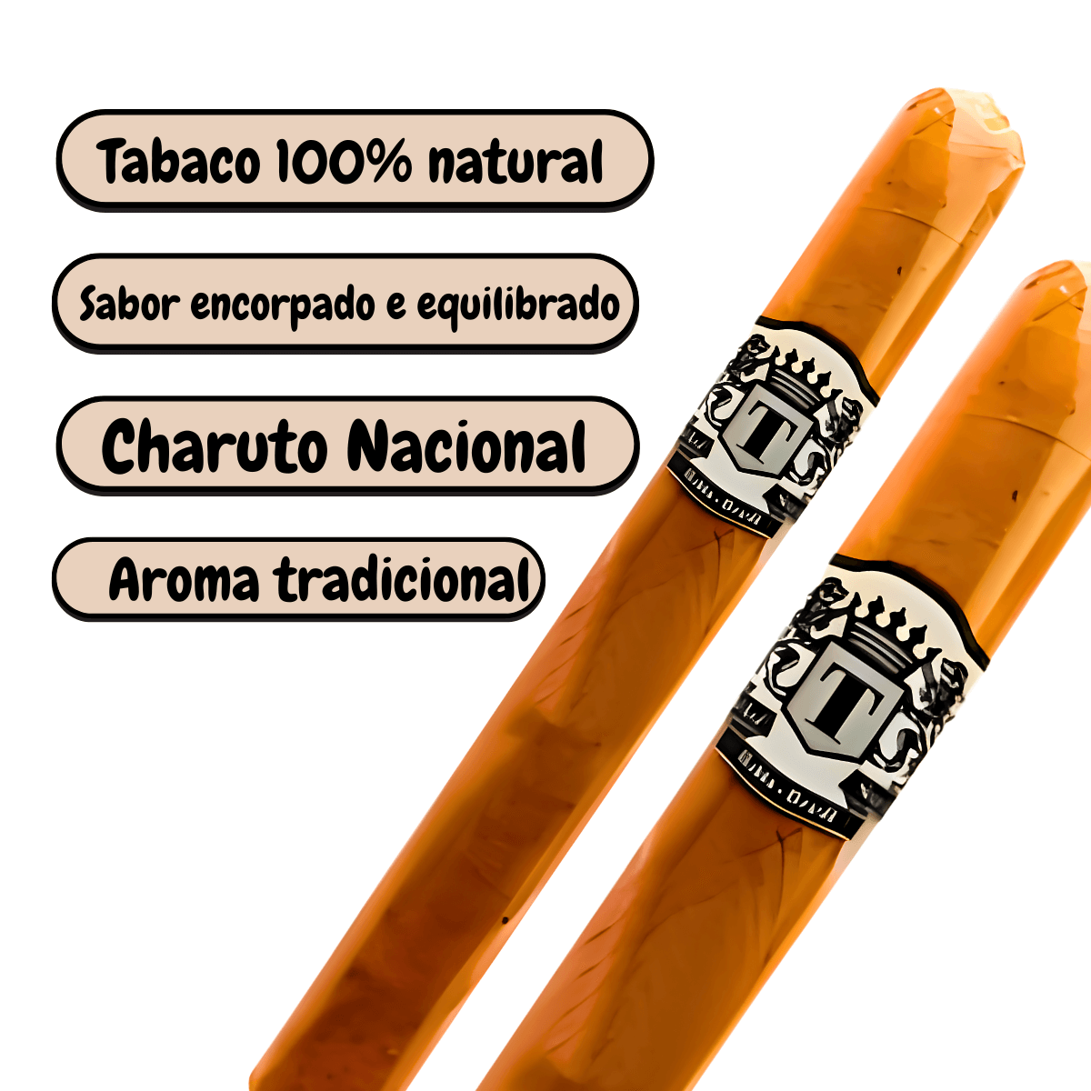 Charuto Talvis Coronita Black - Display C/60 Unidades