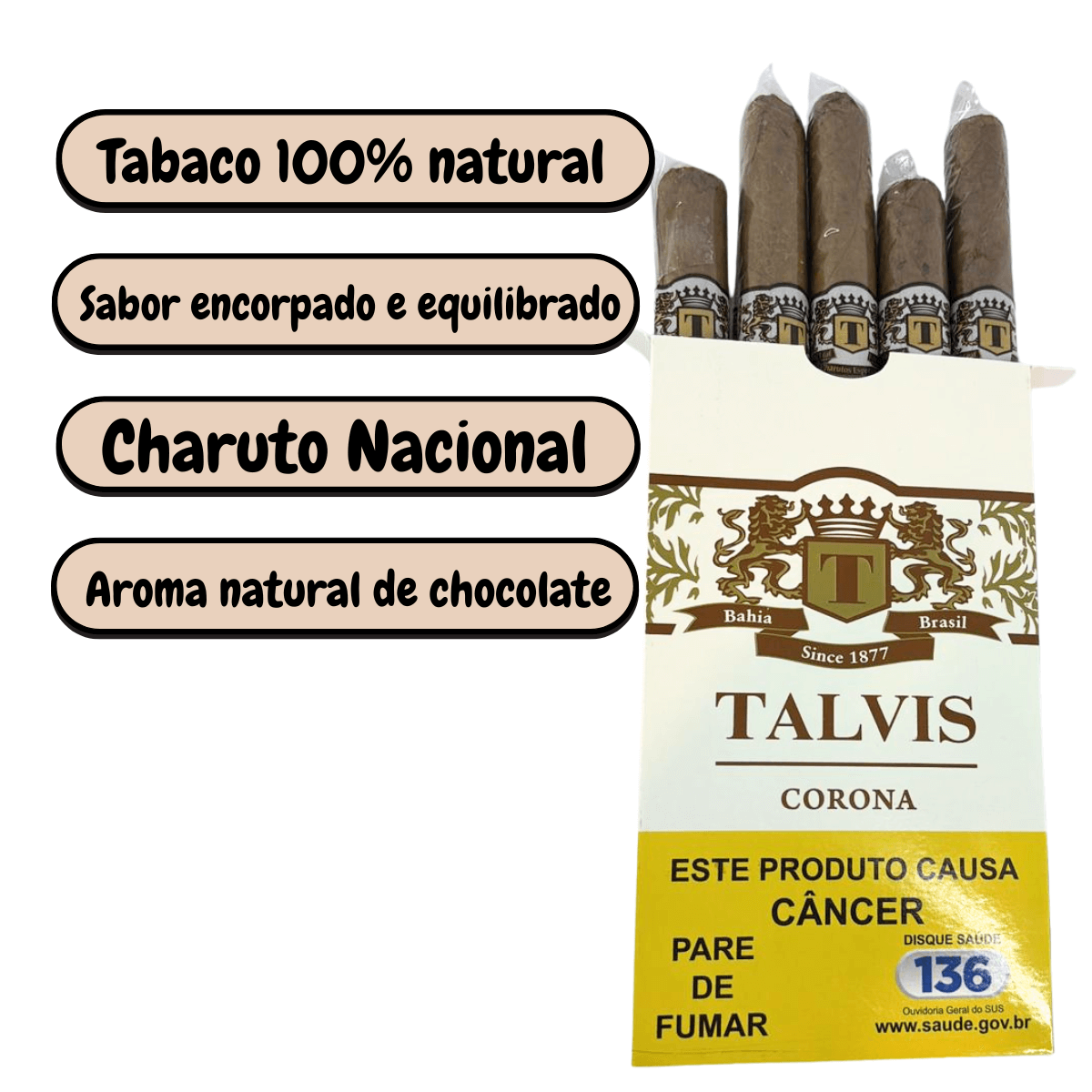 Charuto Talvis Corona Brown - Display C/10 Maços