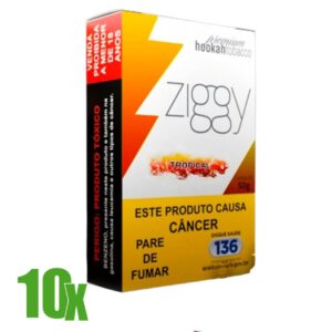 Essência Fumo Narguile ZGY Tropical - Display C/10 Unidades