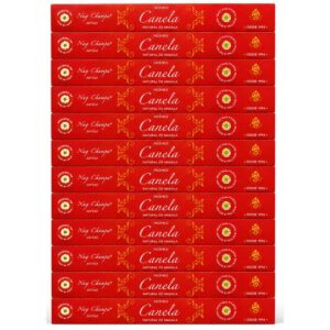 Incenso Shankar Linha Massala Nag Champa Aroma Canela - Display C/12 Unidades